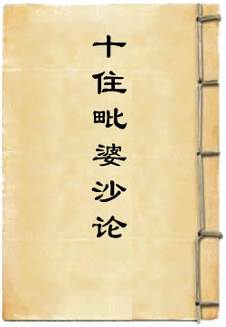 十住毗婆沙論